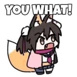 1738213938628494
