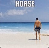 Horse