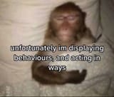 Displaying behaviors and acting in ways