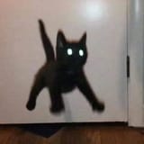 alert