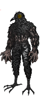 Bird_Human