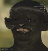 1726210262356715