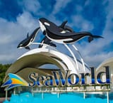 TLMD-SeaWorld-787x715