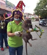 FB_IMG_1601194717413