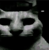 1726320917038543