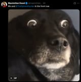 1746333353810359