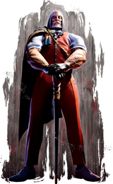 SF6_JP