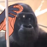 1659637712839222