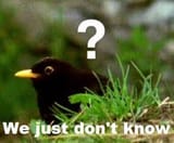 wejustdontknow