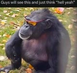 1742074099033757