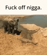 1837753442