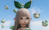 ffxiv_dx11_2025-06-15_19-56-29_Hana_-_Soft