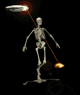 skeleton10