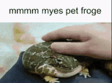 froge
