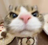 472788897_10237933392100180_5146981555086636729_n