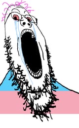 1728397940005081