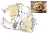 Suzu sleepytime @serena_runa