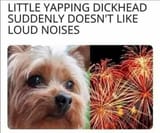 yap