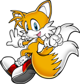 Tails_29