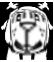 spr_face_nA