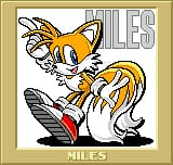 PocketAdventure_Tails