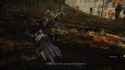 mg222_thumb.jpg