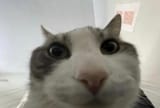 1747437416491021