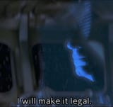 palp