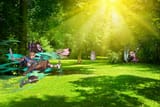 sunny-day-at-the-park