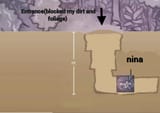 Nina