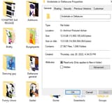 Primary folder example