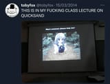 toby quicksand