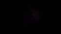 Firefly Transform_thumb.jpg