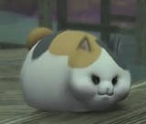 fatcat