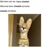 1706890246819617