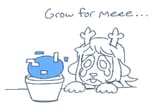 Grow for me pipis