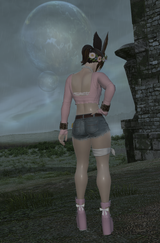 ffxiv_29052025_022248_265