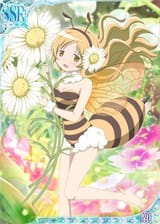 images(3)