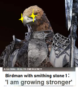 Local Bird
