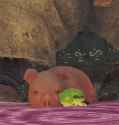 sleeptightpigger[sound=files.catbox.moe%2Fwym7i1.mp3]_thumb.jpg