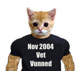 1724678995174059