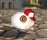 ARE YOU OKAY