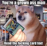 1733343159609368