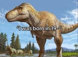 20250420_144608