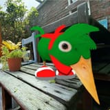 Bean the woodpecker