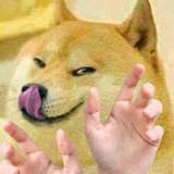 y5e