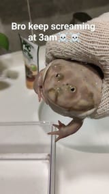 1730568013260814