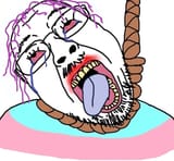 3kj4btbxlvb81