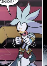 The gay guy from Sonic franchise