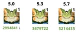 1730701952457104